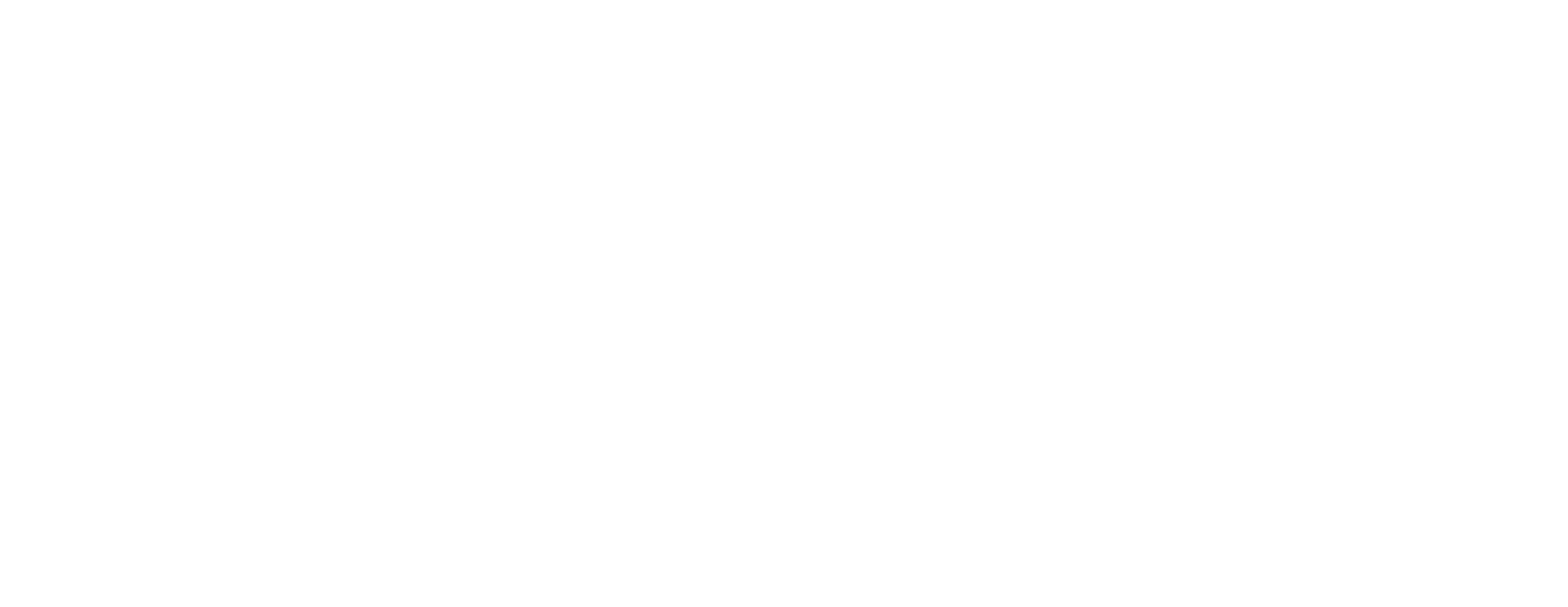 العبقري الصغير
